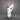 RDX F7 Ego Pink Boxing Gloves for Women
