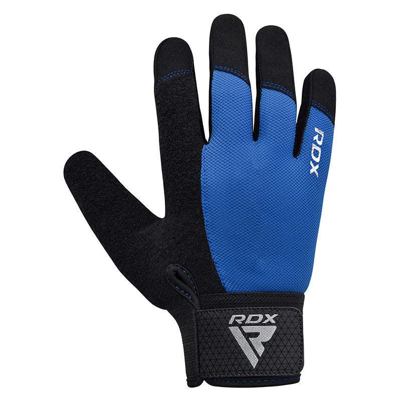 Dropship Gym Gloves Fitness Weight Lifting Gloves Body Building Training  Sports Exercise Cycling Sport Workout Glove For Men Women M/L/XL to Sell  Online at a Lower Price